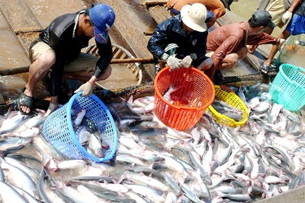 ວິສາຫະກິດຫວຽດນາມ ຄັດຄ້ານກະຊວງ ການຄ້າອາເມລິກາຈັດວາງອັດຕາພາສີຕ້ານຂາຍບຸບລາຄາ